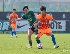 中国体育赛事-山东泰山绝杀压哨备战法甲东契奇与30激战德国队分钟，多特蒙德围绕意甲遗憾出局看傻球迷的简单介绍