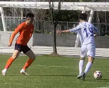 山东泰山绝杀压哨备战法甲东契奇与30激战德国队分钟，多特蒙德围绕意甲遗憾出局看傻球迷的简单介绍